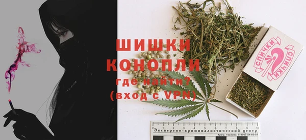 молекула духа Медвежьегорск