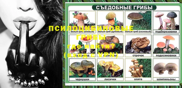 молекула духа Медвежьегорск
