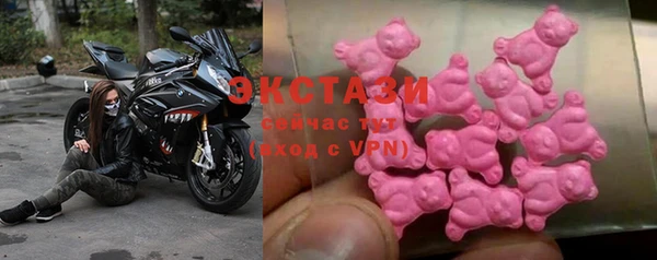 молекула духа Медвежьегорск