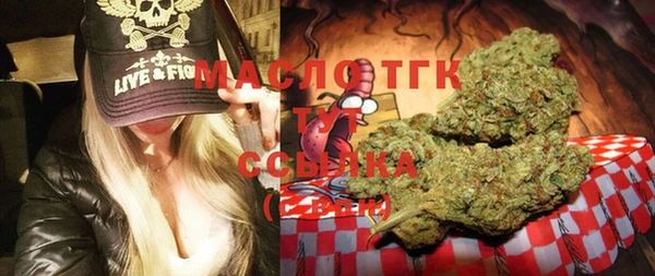 молекула духа Медвежьегорск