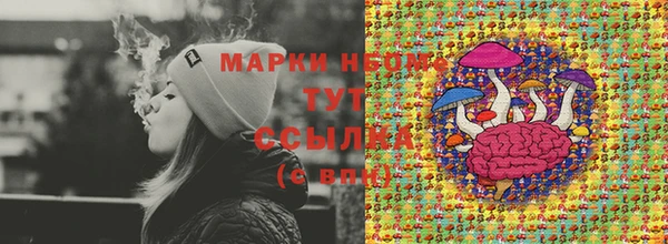 молекула духа Медвежьегорск