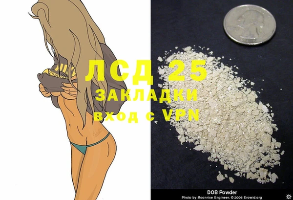 молекула духа Медвежьегорск